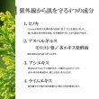 画像4: 30％OFF・シバサン サイプレス レデューサー 日焼け止め SPF50 30ml　Civasan Cypress Reducere Sunscreen SPF50 30ml【正規品/日本未発売】 (4)